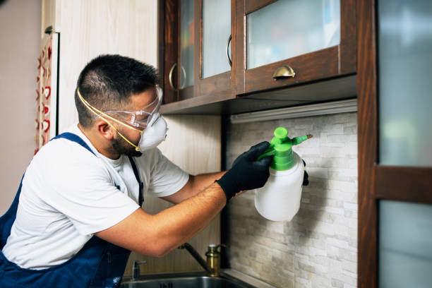 Best Flea Control Services  in Hyde, PA