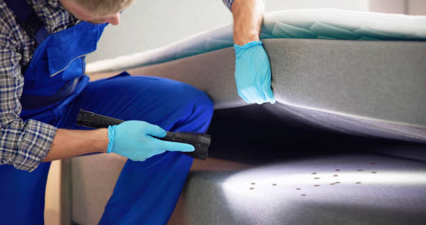 Best Affordable Exterminators  in Hyde, PA