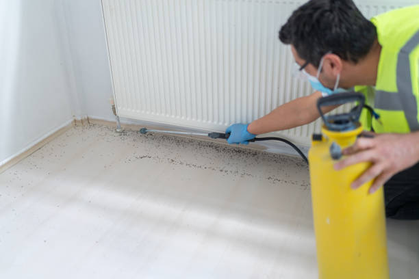 Best Termite Control Services  in Hyde, PA